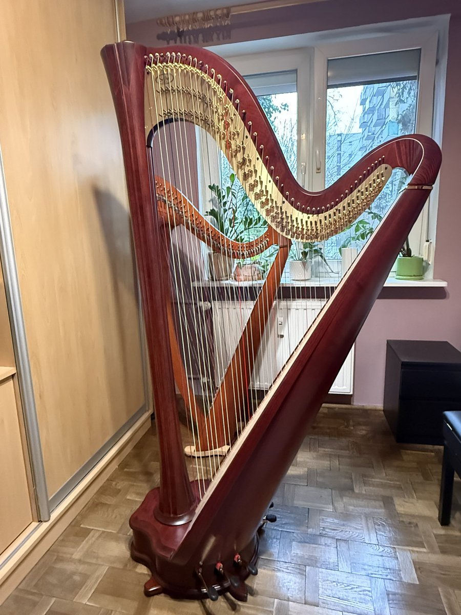 ccmrcz's tweet photo. 先月ペダルハープ買いました🥰夢のまた夢だと思ってたのにまさかハープ始めて1年以内に買うとは😂が、練習楽しすぎて平日5時間、週末7時間練習してたらオーバーユースで手の関節を怪我してしまい今、4週間休み…💦 https://t.co/SgoNjwfPiH
