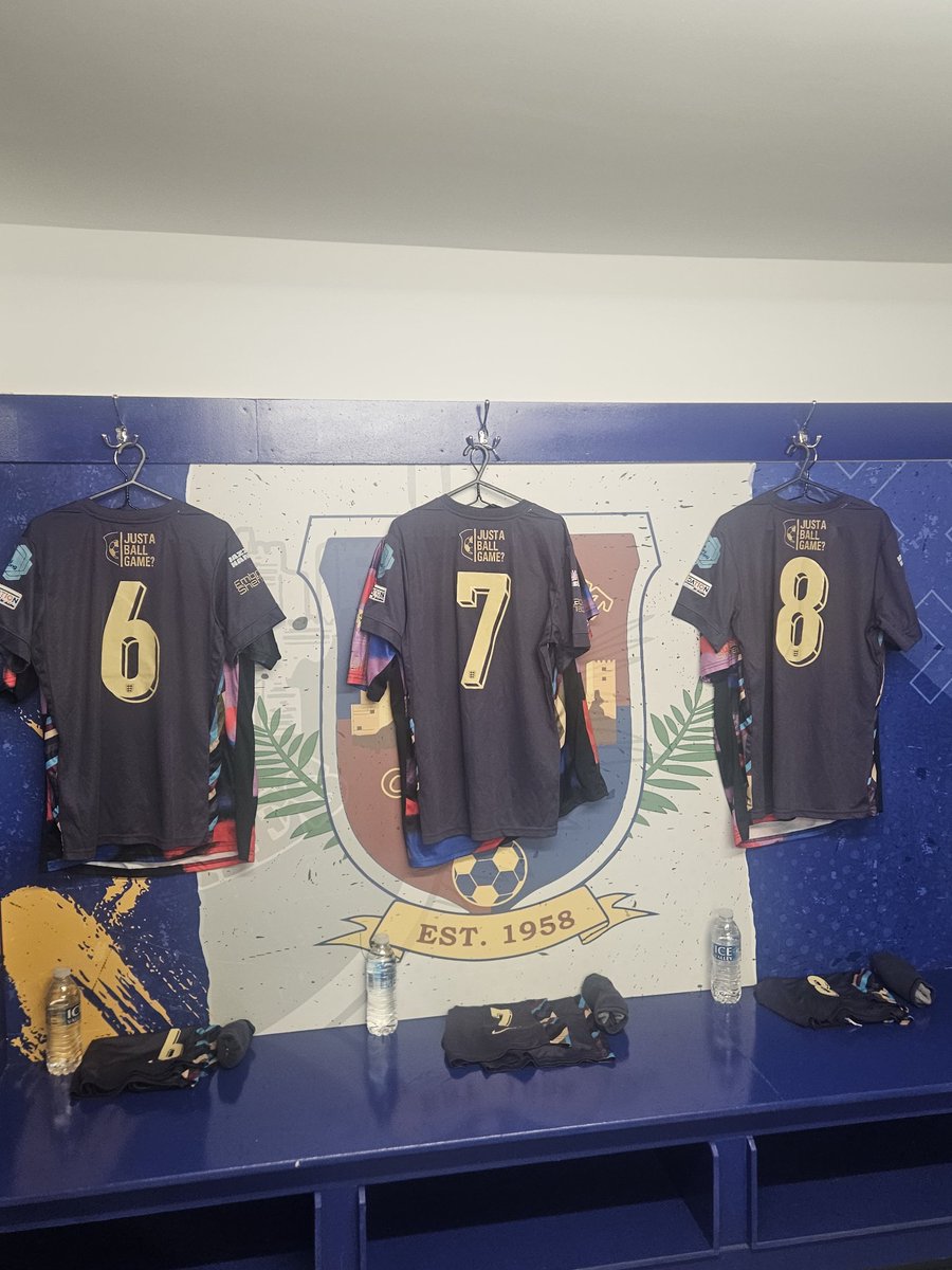 LionessesST tweet media