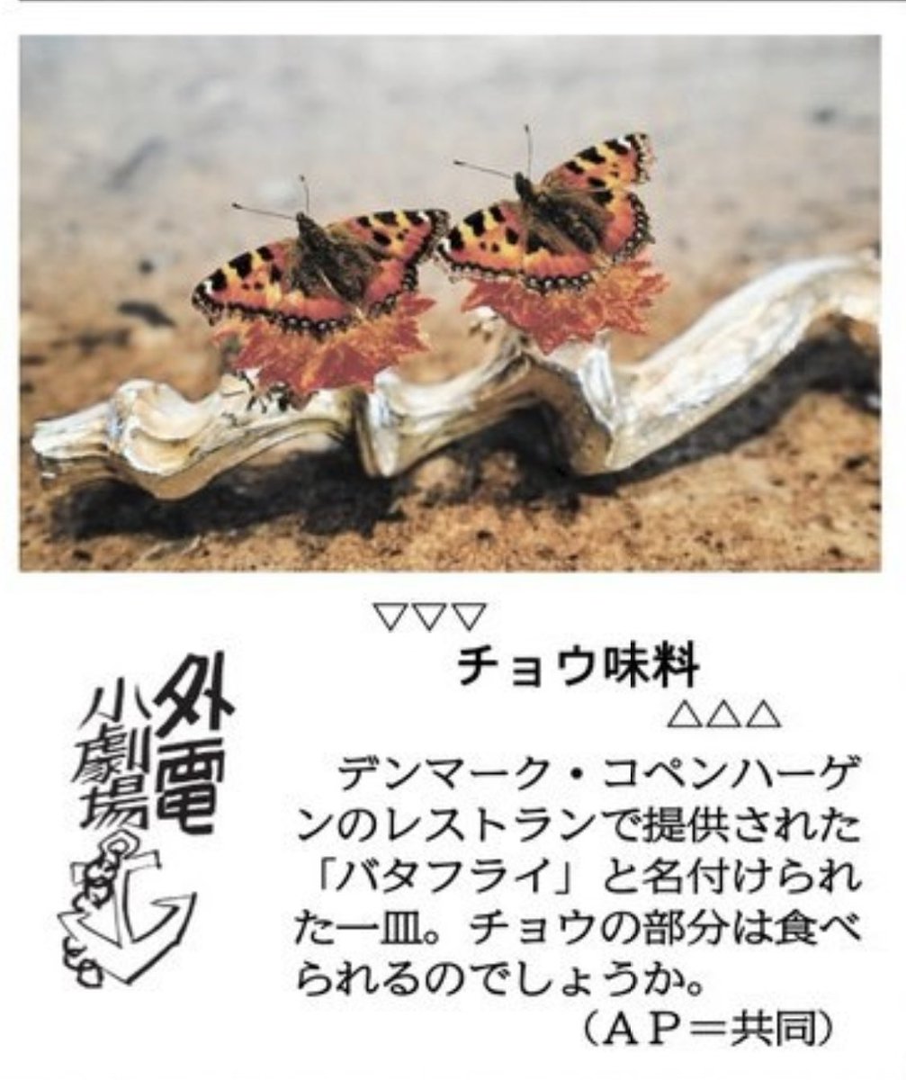 『蝶気持ち悪い』