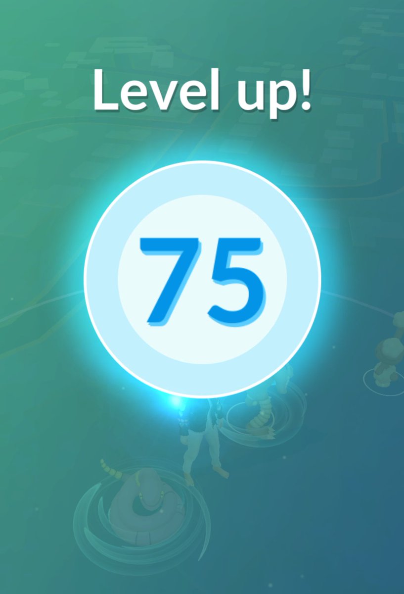 Lauren 🐼 tweet media