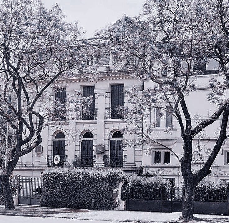 〃 ᅟ𝐋𝐀𝐃𝐘 ᅟ 𝐕𝐈𝐎𝐋𝐄𝐓 ᅟ 𝐁𝐑𝐈𝐃𝐆𝐄𝐑𝐓𝐎𝐍. tweet media