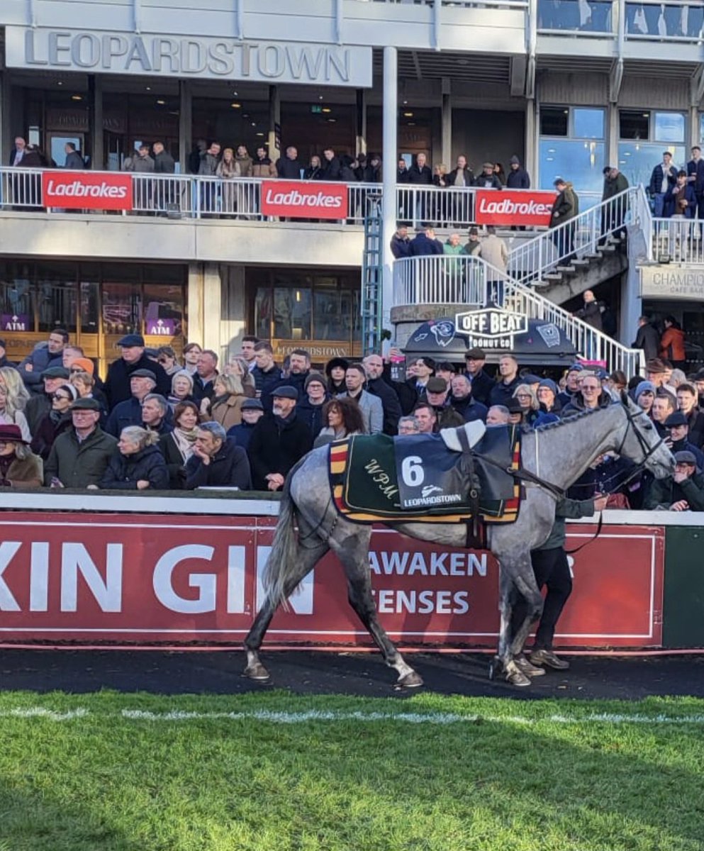 Road To Cheltenham tweet media