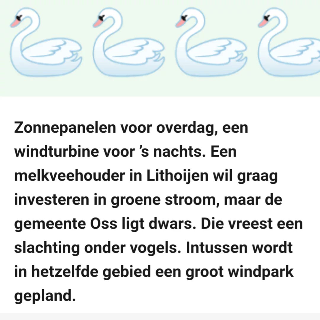 FvdOss's tweet image. Het CDA noemt dit "Stabiel beleid" 
Kan het College (#VDG, #CDA, #VVD &amp;amp; #GroenLinks) uitleggen waar de logica is gebleven?
Of blijft het nu windstil?

&amp;amp; waarom krijgen deze vogel-onvriendelijke partijen onvoorwaardelijk steun van o.a. #SSO? bd.nl/oss/boer-mag-g… @fvdemocratie