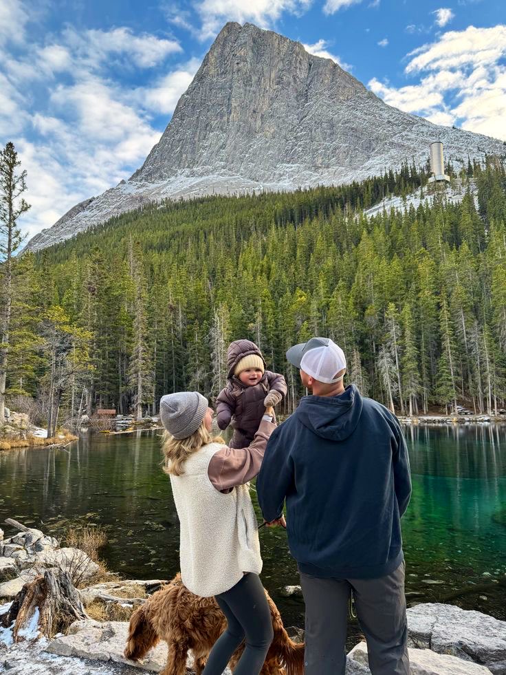 hayaller siyah poşet tweet media