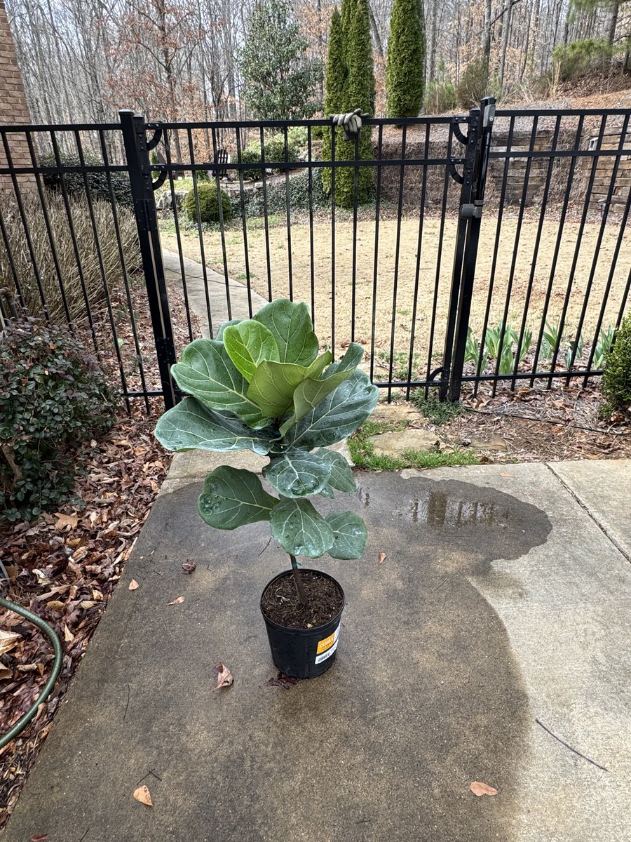 BowTiedBroke tweet media