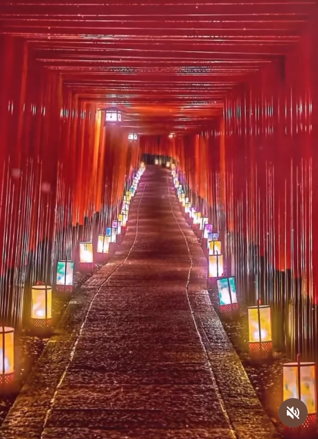 アオ【白兎霊視占い師】 tweet media