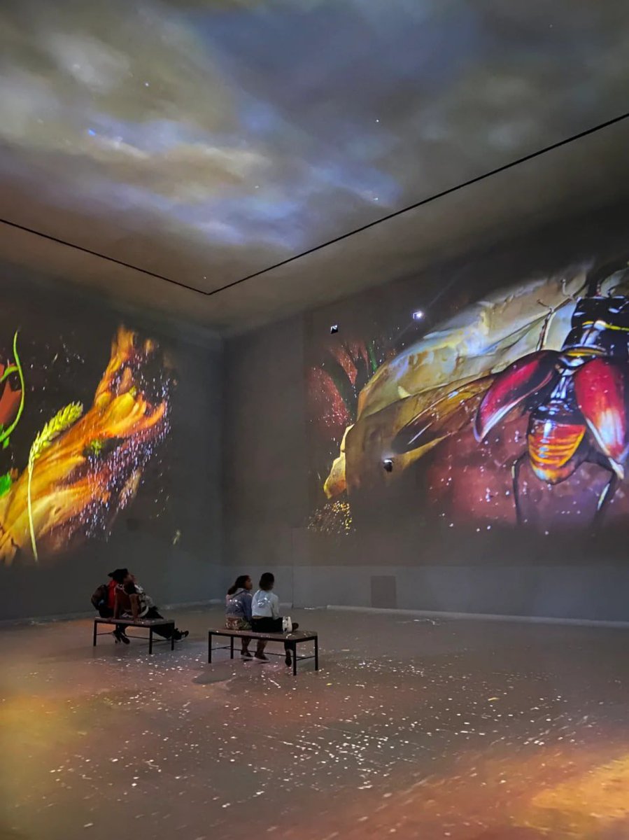 it__selizabeth's tweet photo. Visit to Frameless ; Immersive Art Experience in London🌌 https://t.co/JkB1QbqVwa
