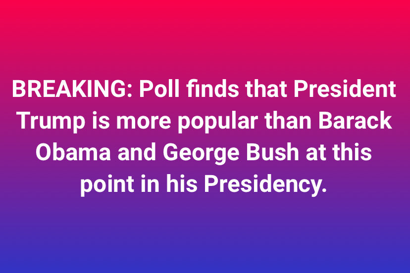 One Bad Dude tweet media