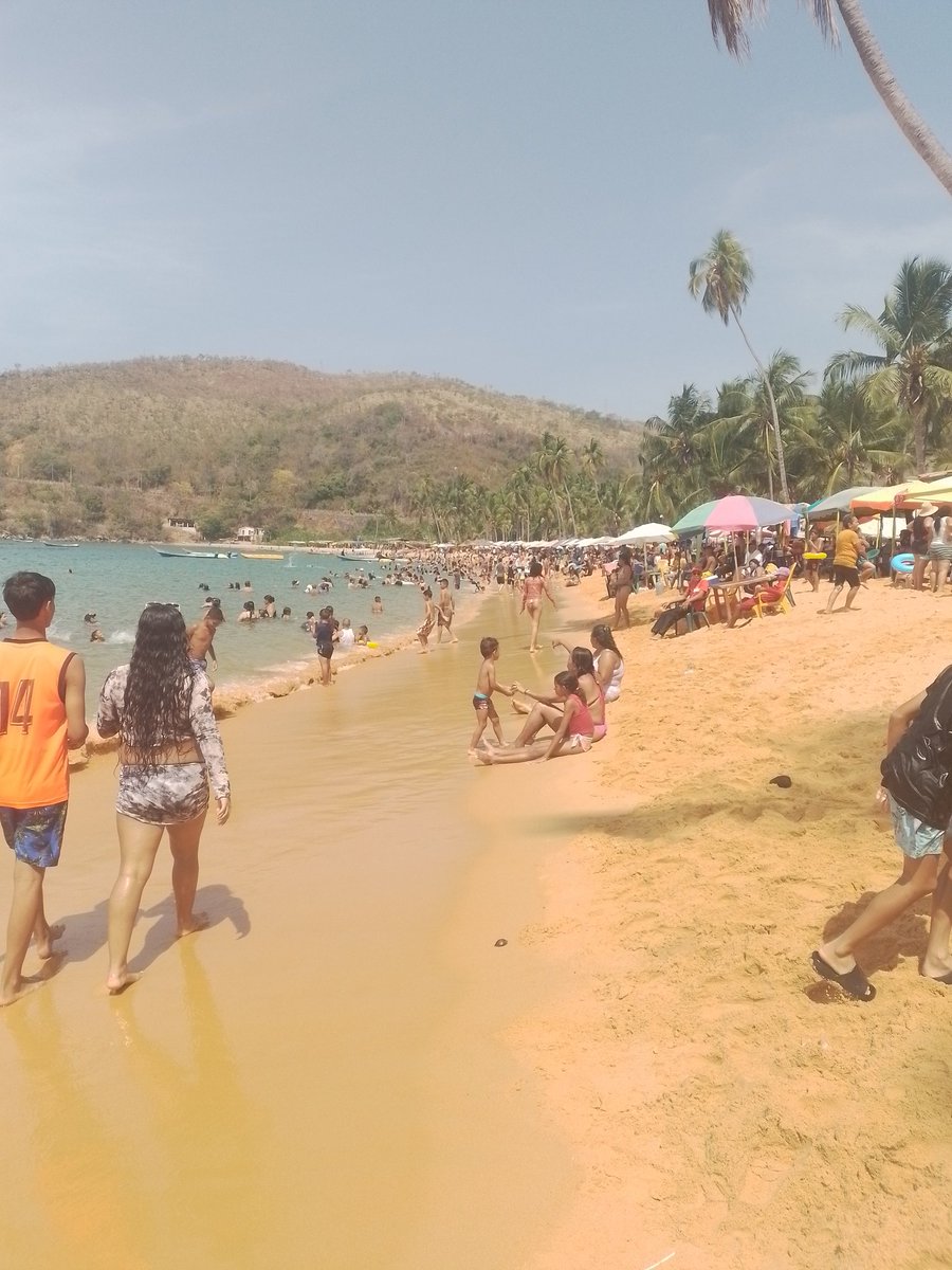 juancarlosrm01's tweet photo. 👨‍👧‍👦 Disfrutando de la inmensidad y el azul del Parque Nacional Mochima. 

���️ Un rincón inolvidable del estado Sucre que siempre vale la pena volver a visitar. ¡Qué orgullo nuestro país! 🇻🇪💪

#Mochima #Sucre #Venezuela #Playa https://t.co/pcyAbCzXDz