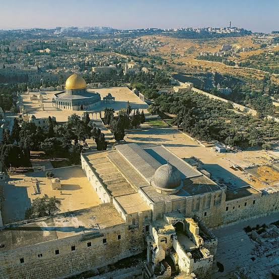 Kavish aziz tweet media