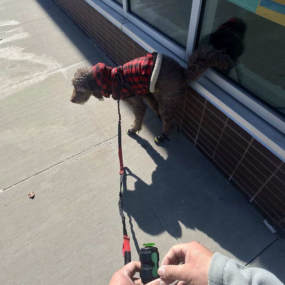 Ryan_the_Spoo's tweet photo. Nothing is safe! NOTHING! #spooper #spoo #spooinboots https://t.co/qqf1wkX8XL