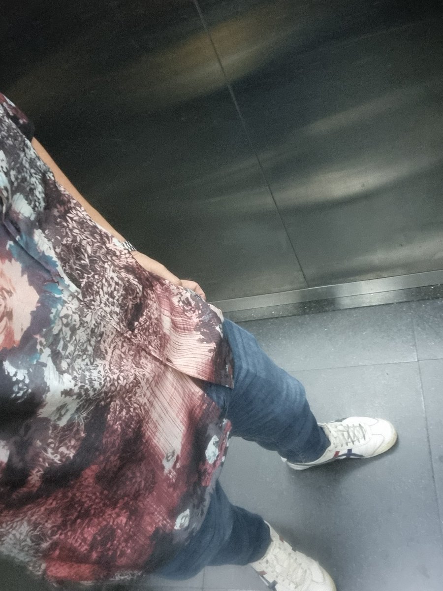 จิ้งจอกพเนจร