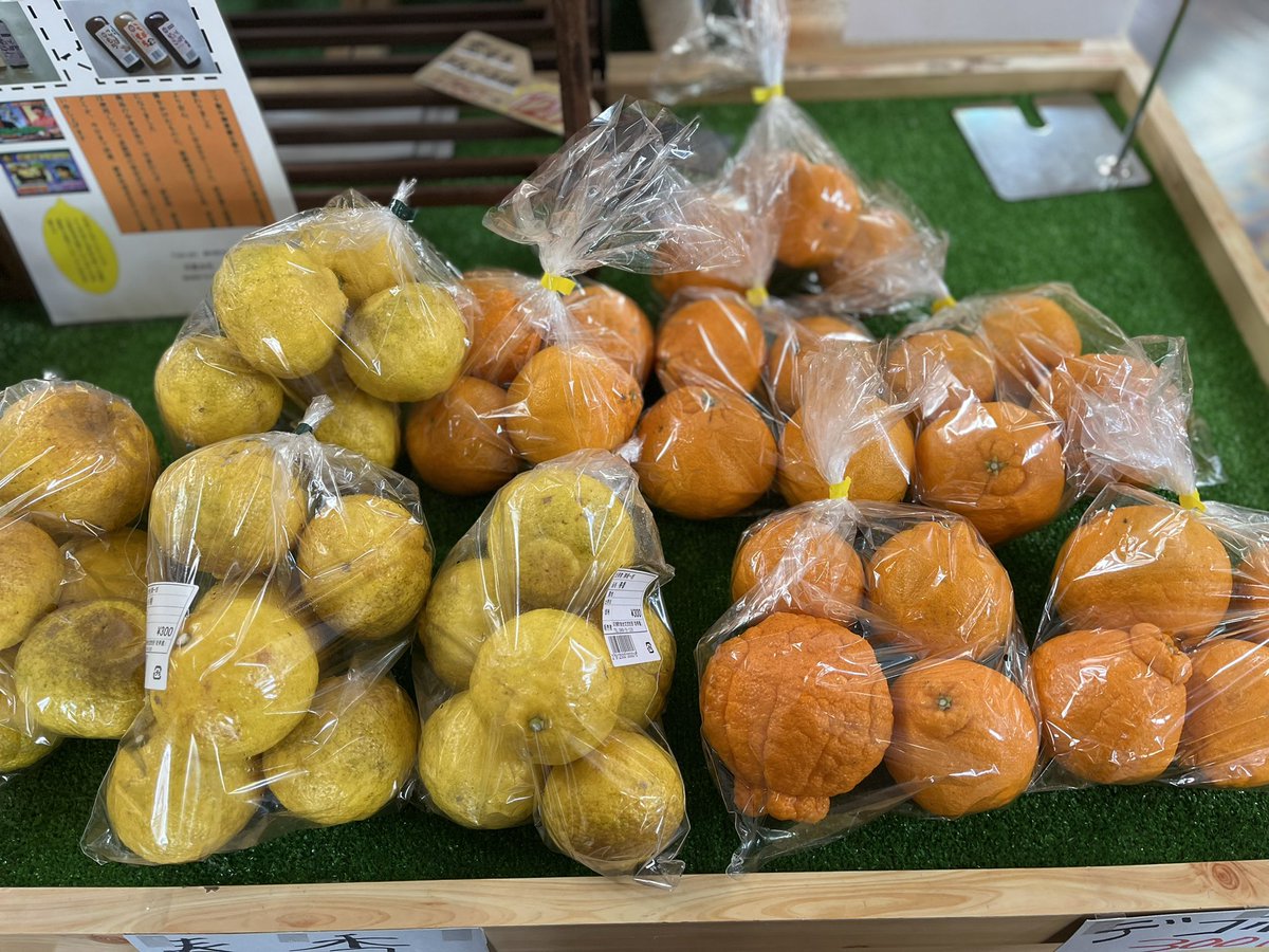 【売店情報】
デコポン&amp;はるか　販売中🍊
どちらも一袋300円です⭐︎