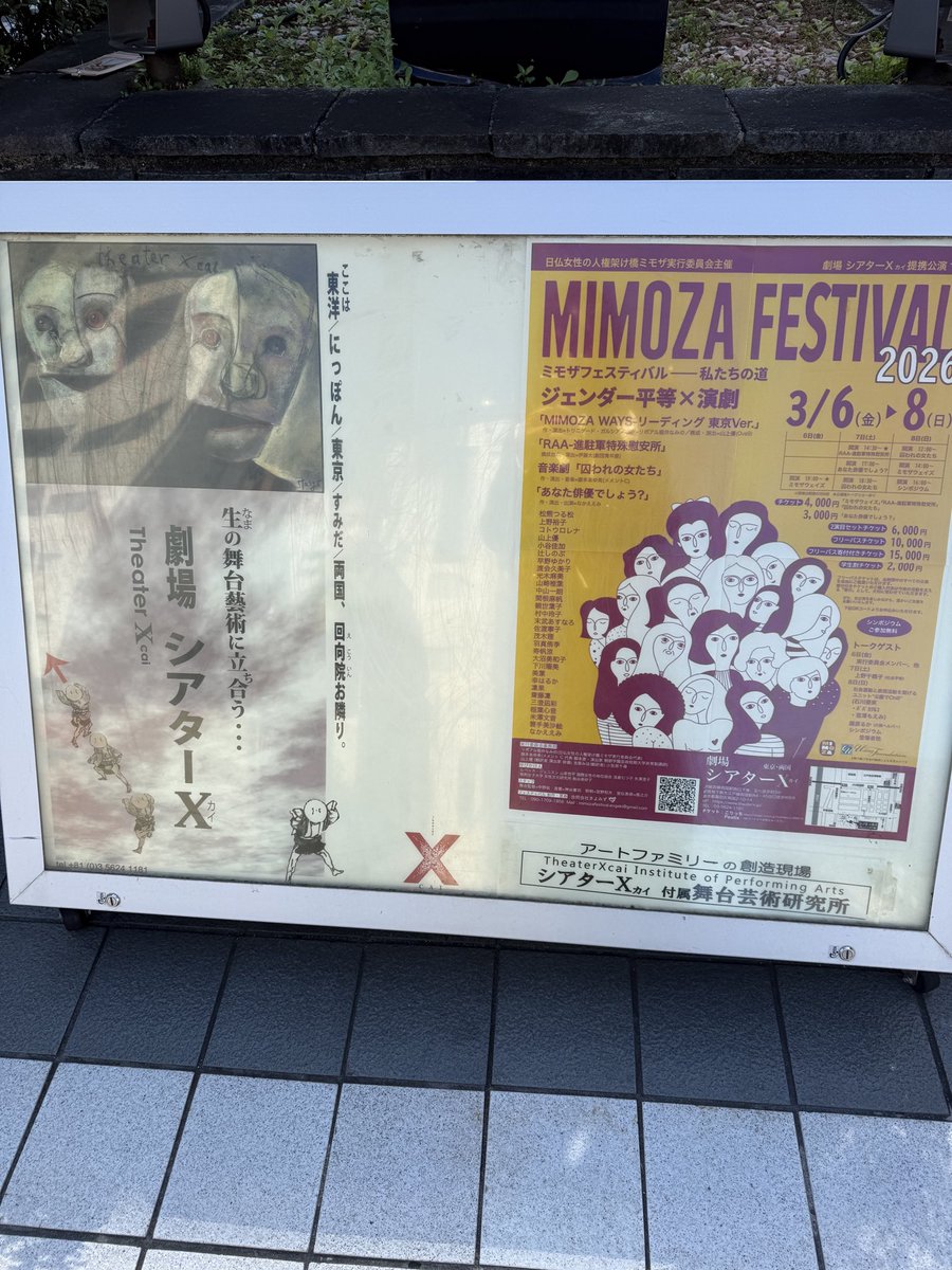 シアターカイ、開場しました！
是非お立ち寄りください🌼
#ミモザフェスティバル
#国際女性デー