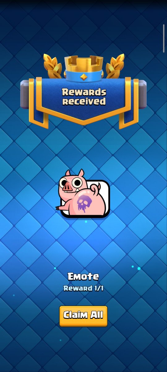 SHIRAZUL 07_cr tweet media