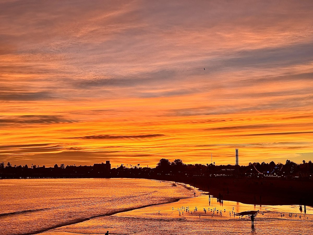 Native Santa Cruz tweet media