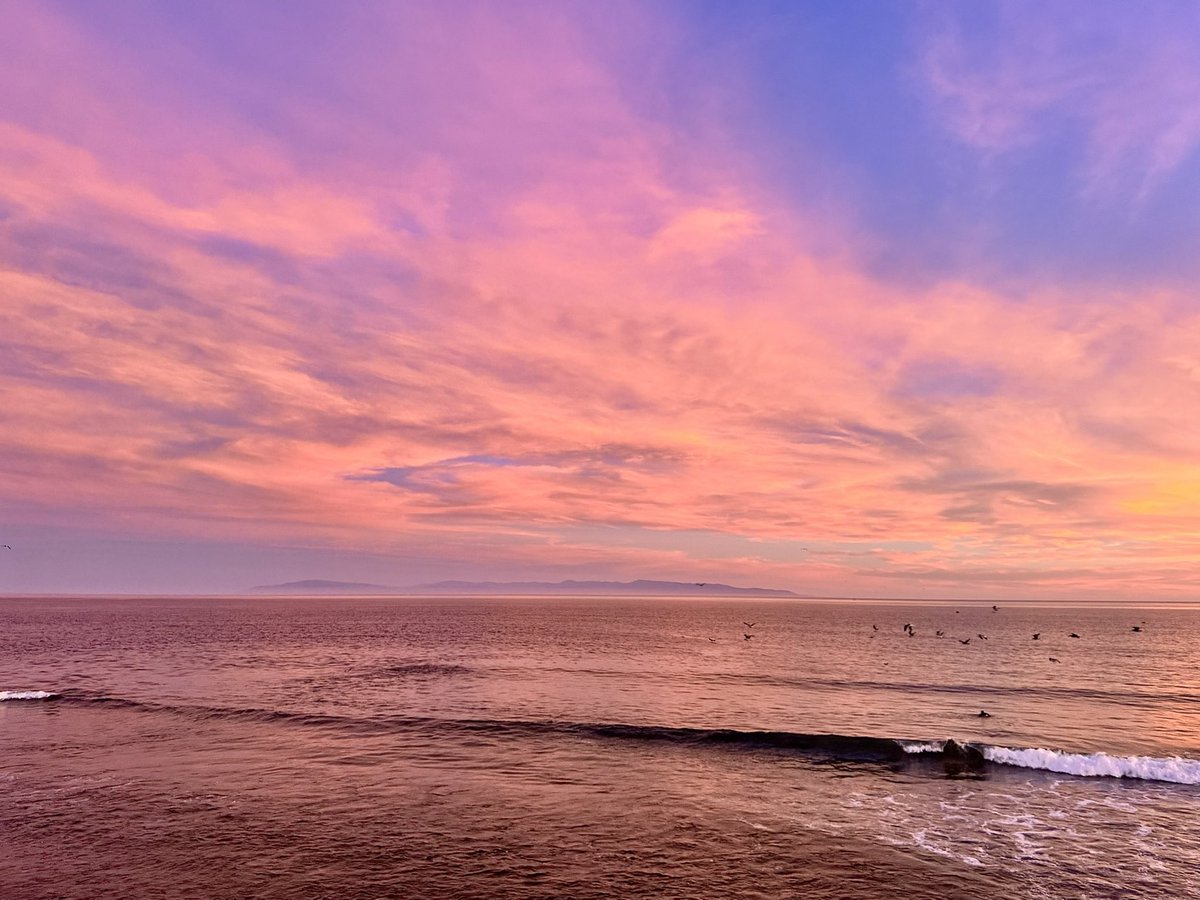 Native Santa Cruz tweet media