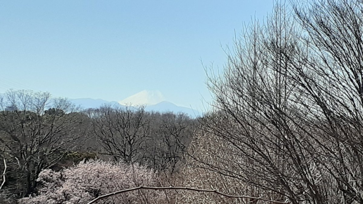 らけっと後藤 tweet media