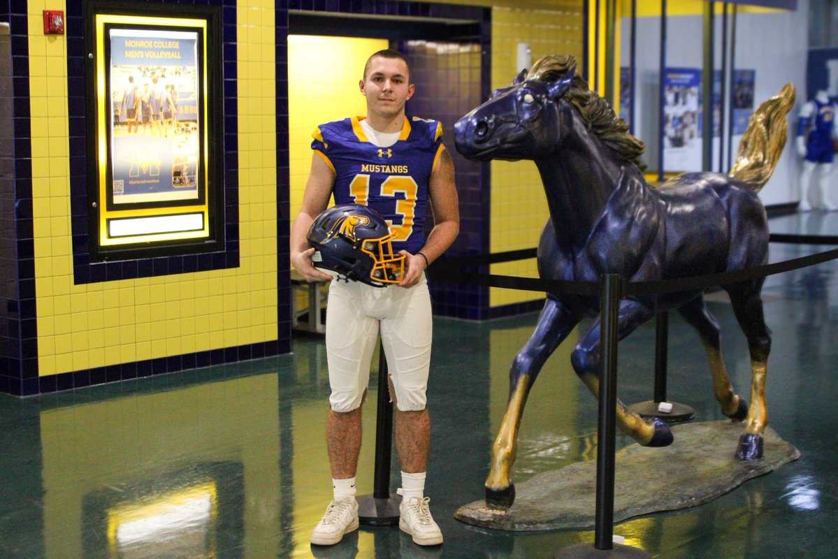 Dimitri Grieb tweet media