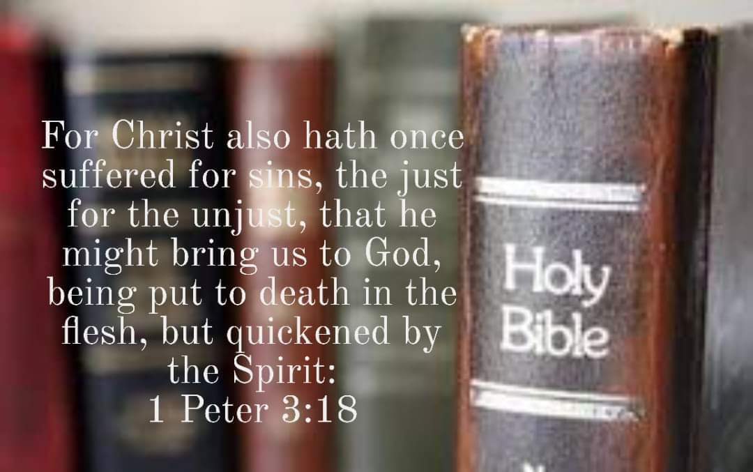 Tracy Killinger 🇺🇸 tweet media