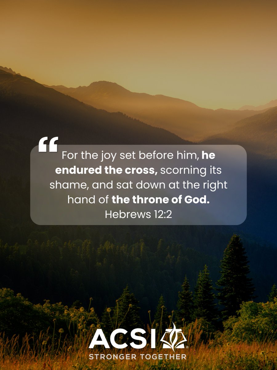 ACSI International Schools tweet media