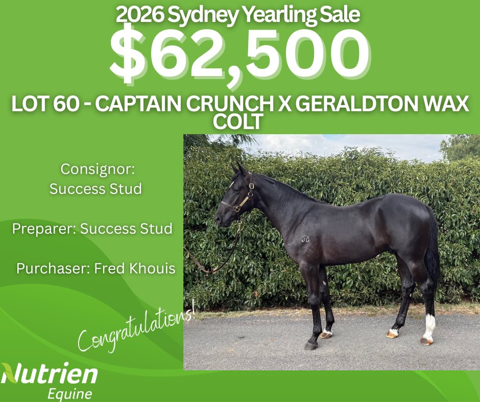 Nutrien Equine Standardbred tweet media