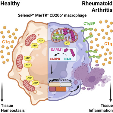 Waggoner Lab tweet media