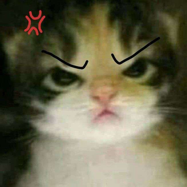 This is the same picture