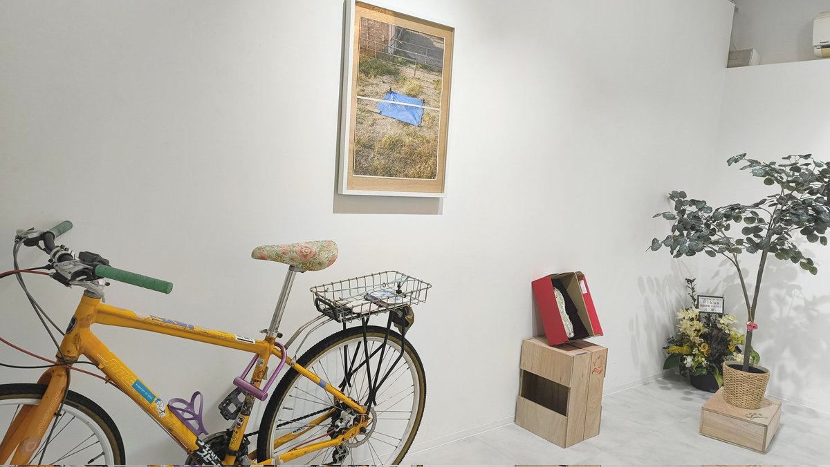 PHOTO GALLERY FLOW NAGOYA tweet media