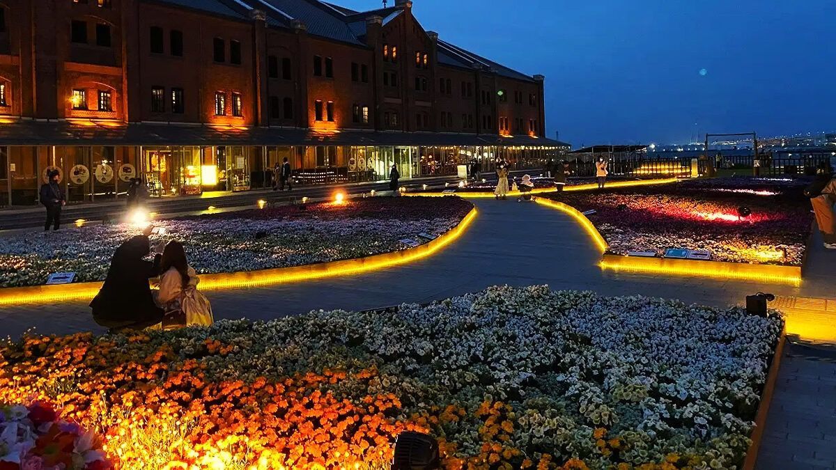 event_checker's tweet photo. 3/27(金)-4/19(日)神奈川・横浜赤レンガ倉庫で「FLOWER GARDEN 2026」開催。約2万株の草花が広がる花畑が、港町に春の訪れを告げます。昼は色鮮やかに、夜はライトアップで幻想的に。入場無料→https://t.co/uyPMJ6ELmq https://t.co/h4vQsrPq4S