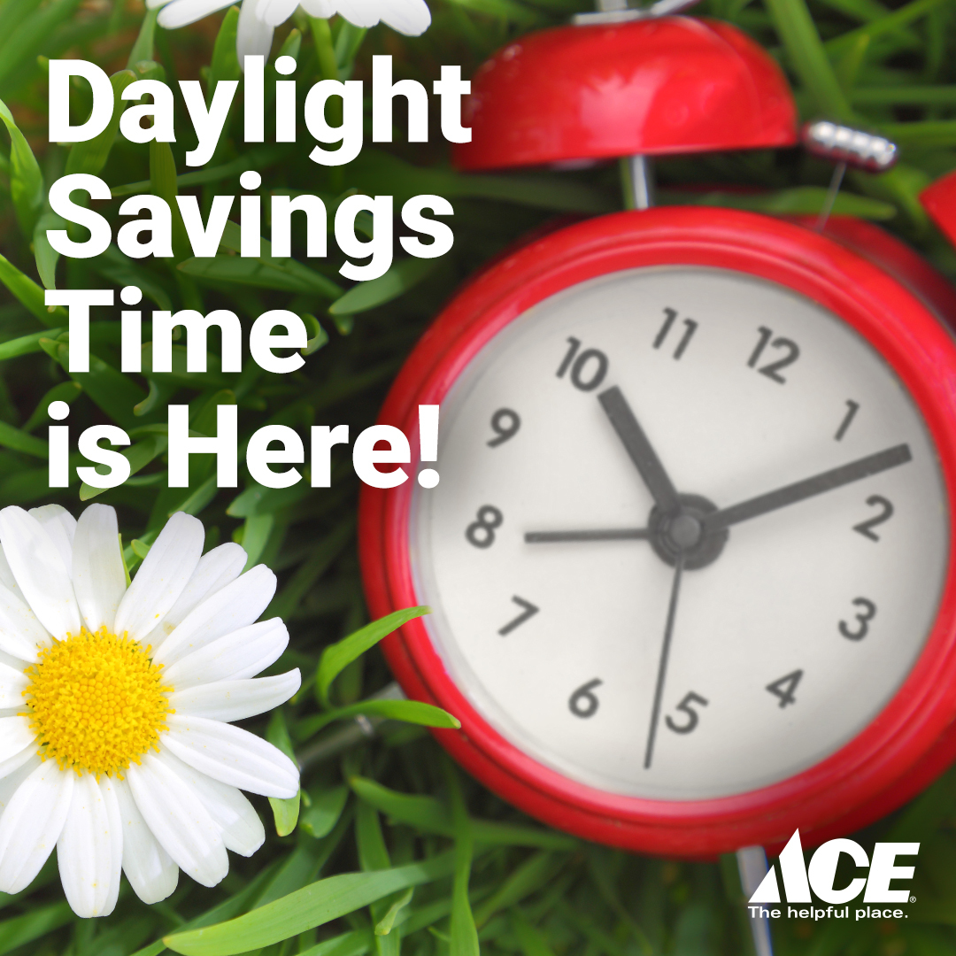 PiniHardware's tweet photo. Longer days are ahead! Don’t forget to spring your clocks forward for Daylight Saving Time. ⏰

#pinihardware #novato #daylightsavings #localbusiness #marincounty #sonomacounty #springforward #spring #shoplocal #shopsmall #diy https://t.co/2Eo4yP7rlP