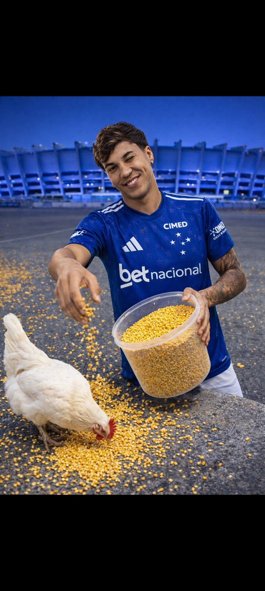 Matheus.F tweet media