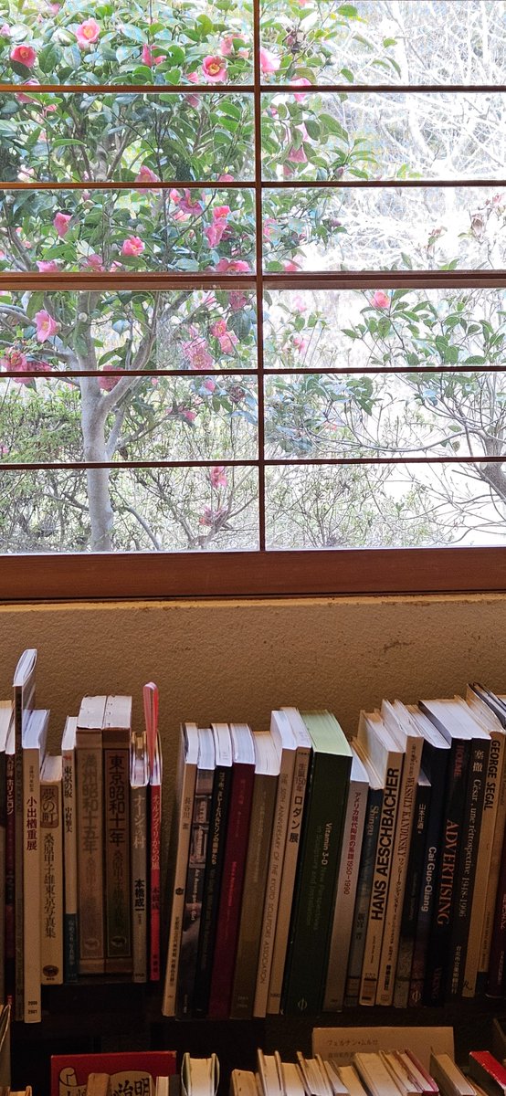 また少し寒さの戻ってきた山里です。

『三歩書店』店内あったかくして皆さんのお越しをお待ちしておりますッ❗