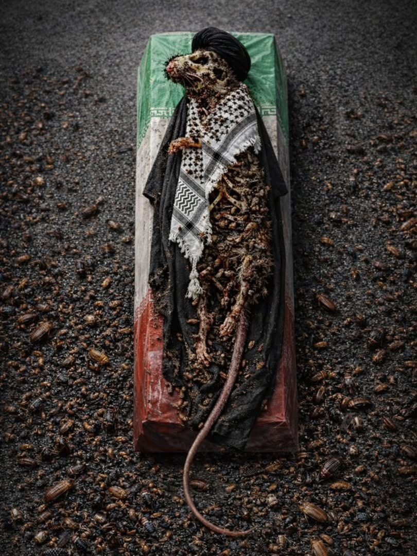 𝔸𝕣𝕝𝕠 🇮🇷 tweet media