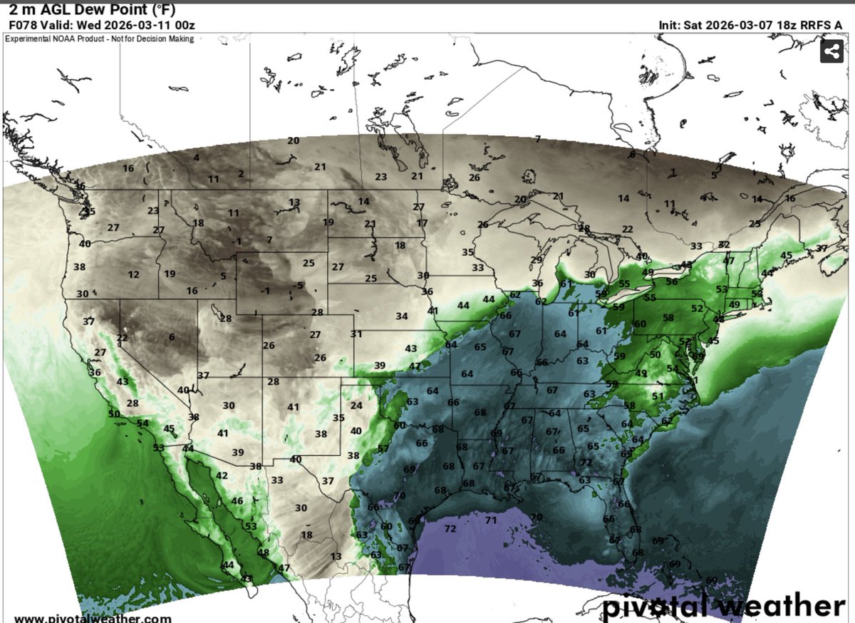 Jaden Pappenheim tweet media