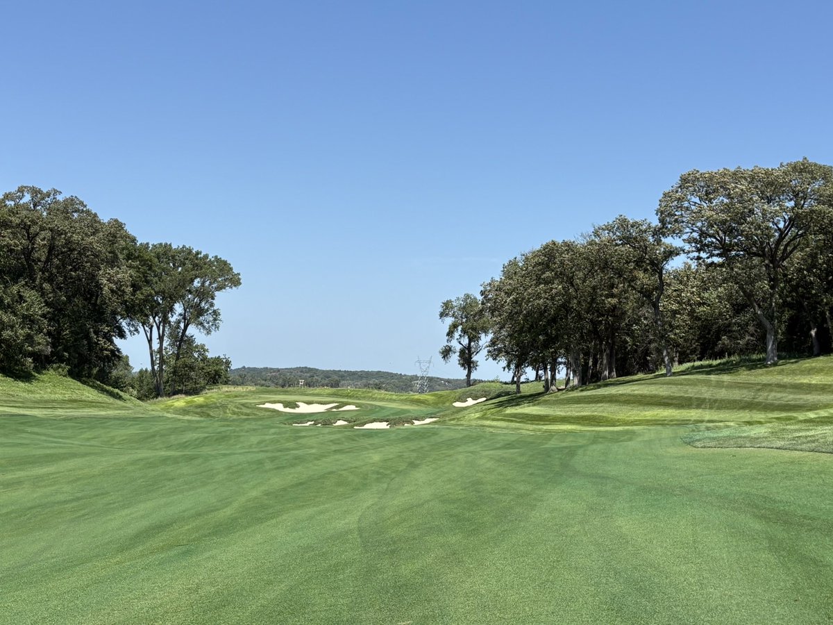 Duane Ledien tweet media