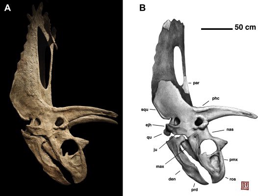 Dani Barrera Guevara tweet media