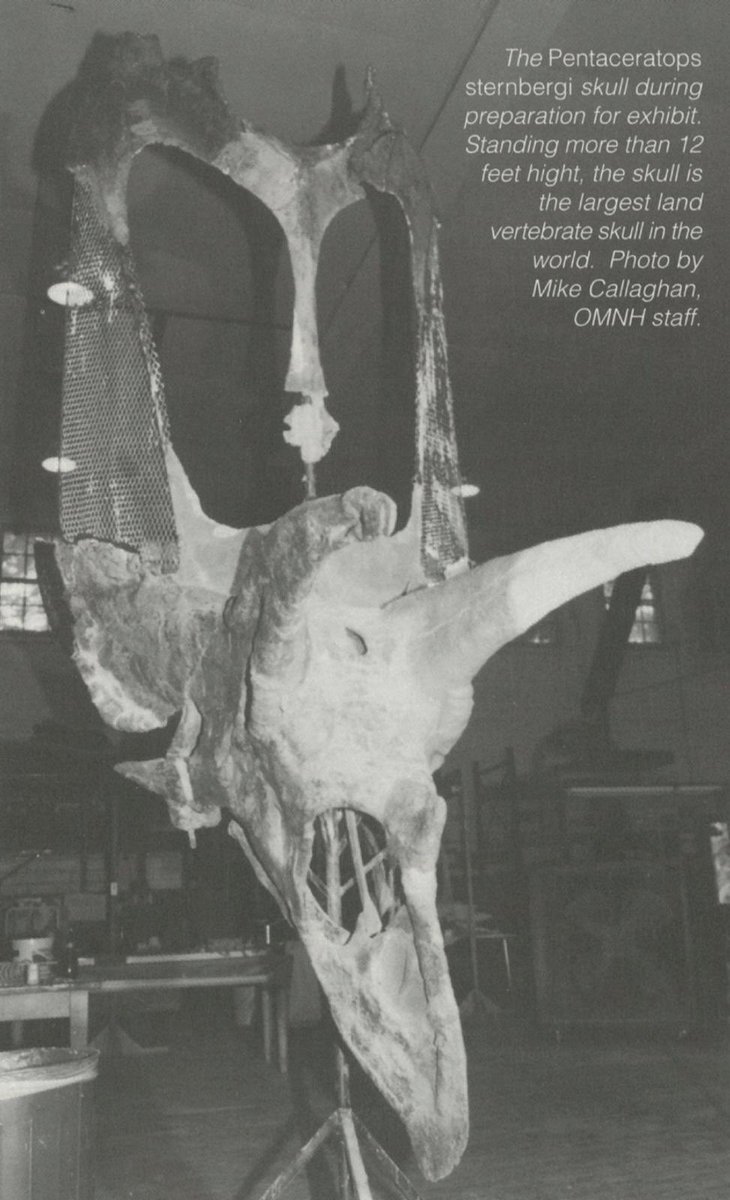 Dani Barrera Guevara tweet media