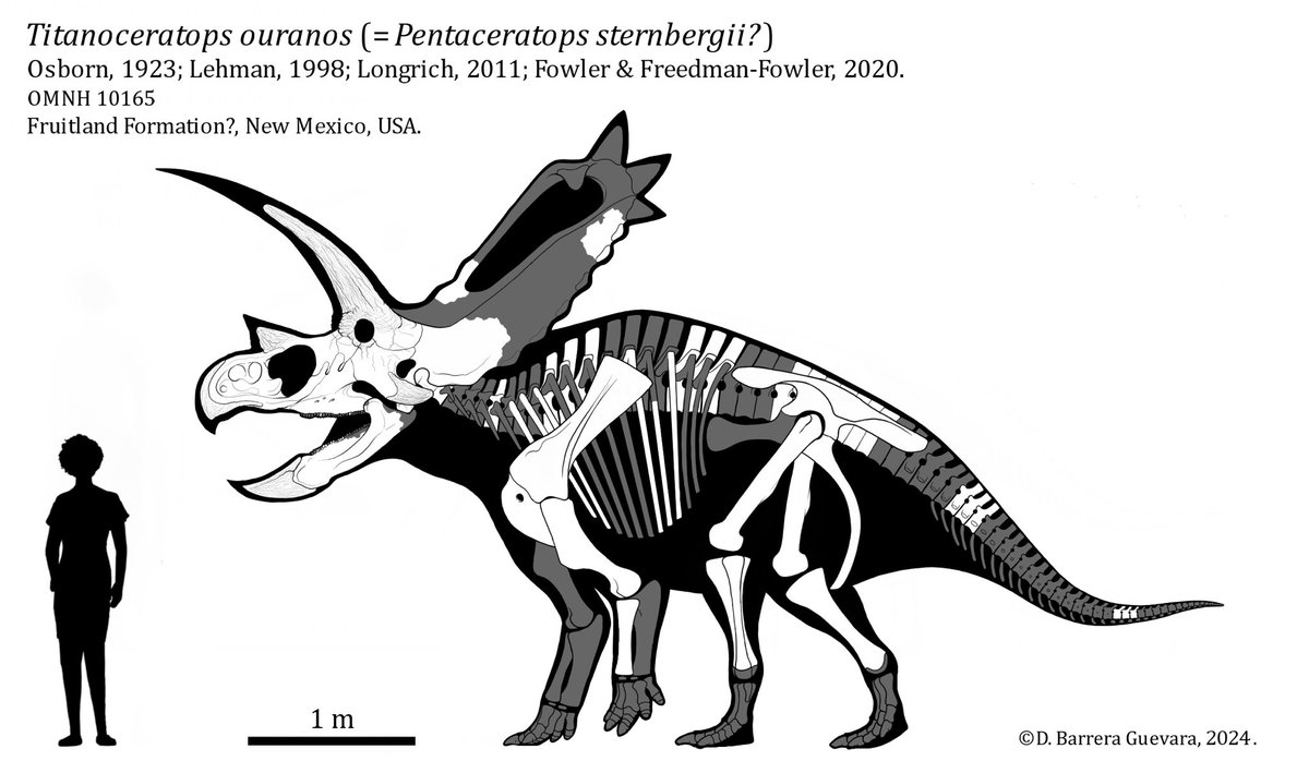 Dani Barrera Guevara tweet media