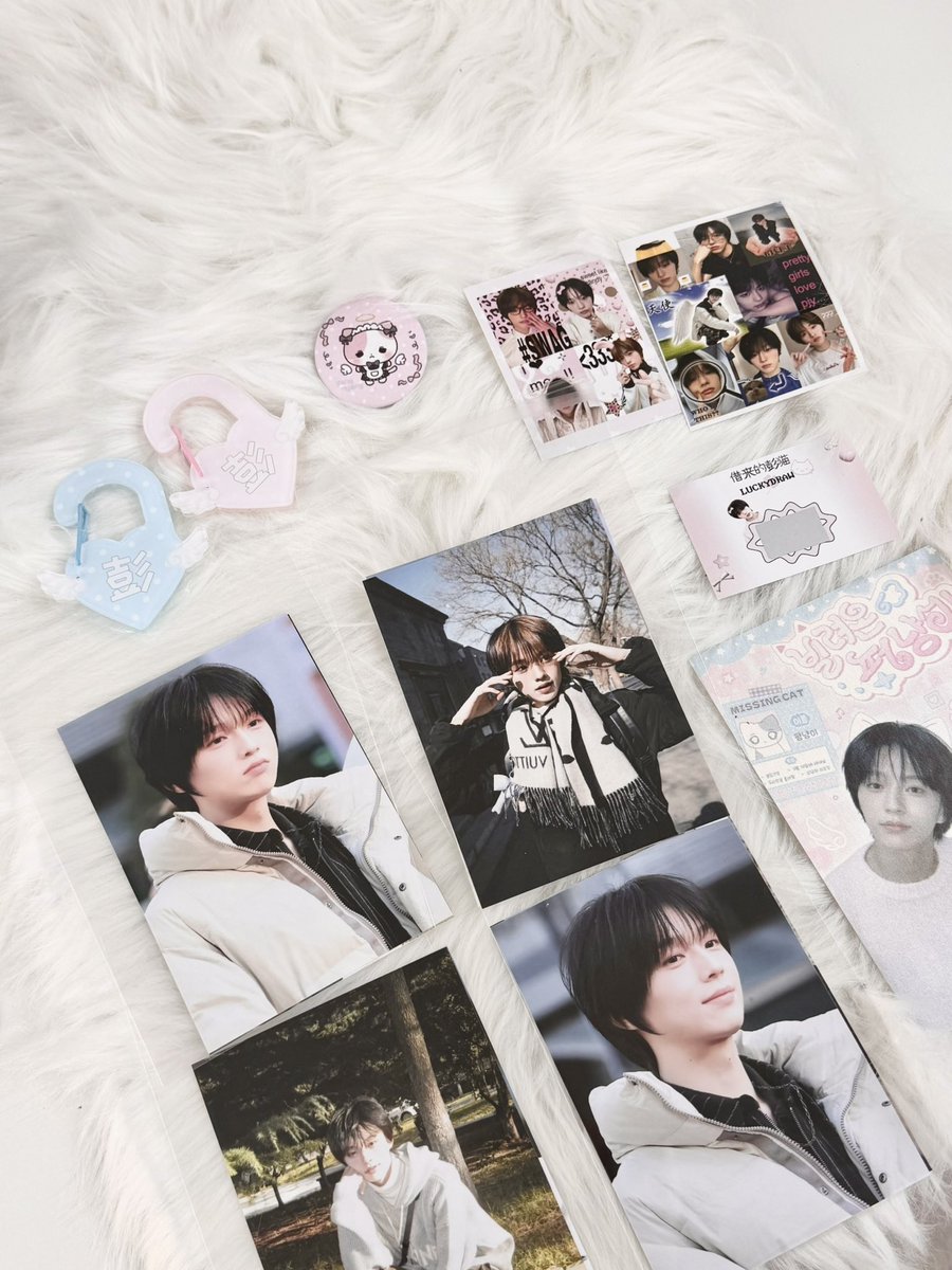 빌려온 펑냥이 (•- •マ⟆ tweet media