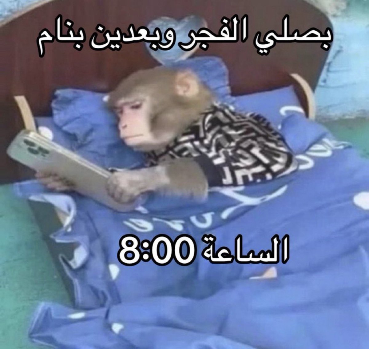 منصور (@i14nn) on Twitter photo 