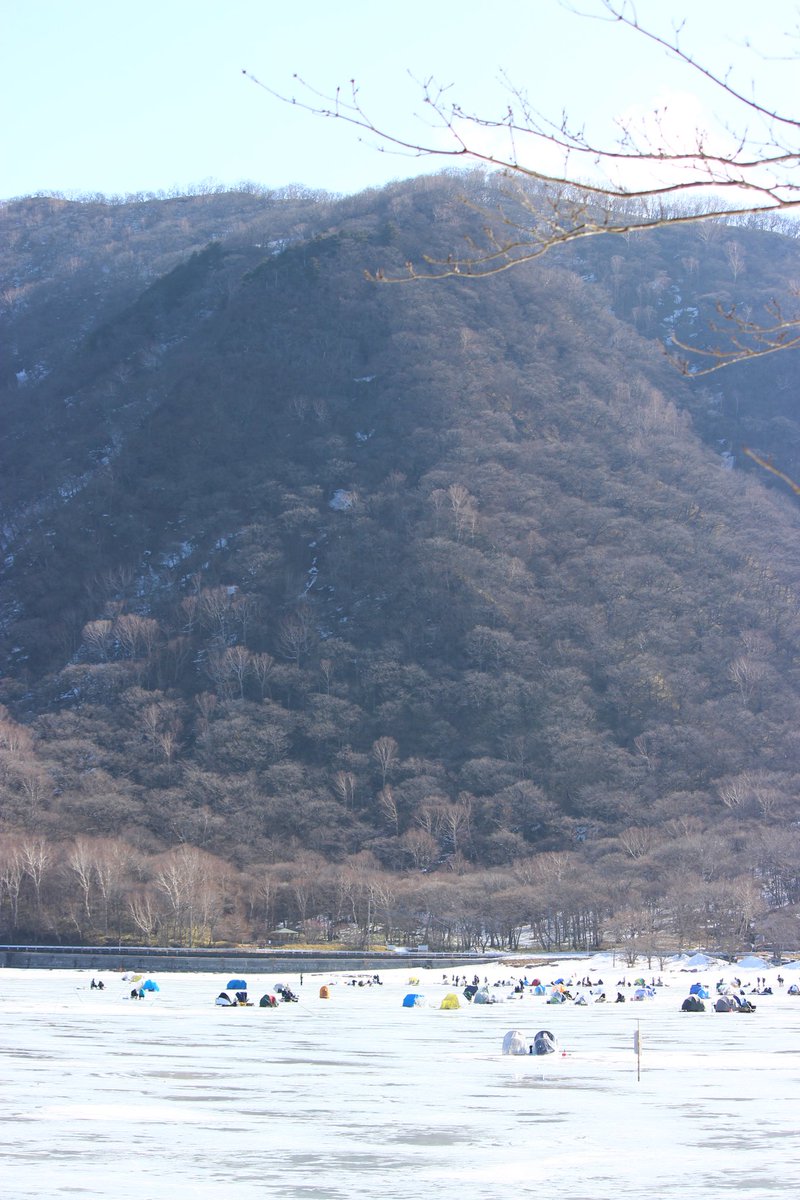 jpkikuchi1's tweet photo. 先日は森のようちえんのウィンタースクールで赤城山大沼へ。氷の上を縦断。圧倒的な風景に感動。
ワカサギ釣りしている風景やテントたちも興味深くおもしろかった。

いつもと違う環境で子どもたちもたくさん刺激を受けたはず。

#森のようちえん #宮代町 #雪 #ウィンタースクール #赤城大沼 https://t.co/vmTdYv7dzF