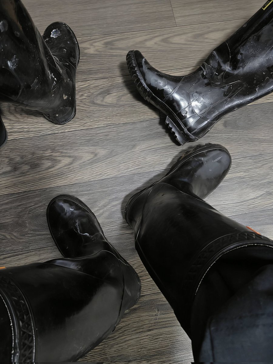 不吃辣 tweet media