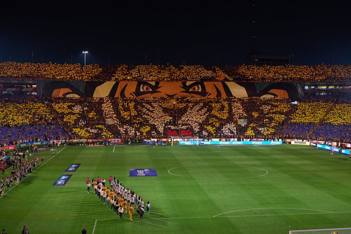 San Cadilla El Norte tweet media