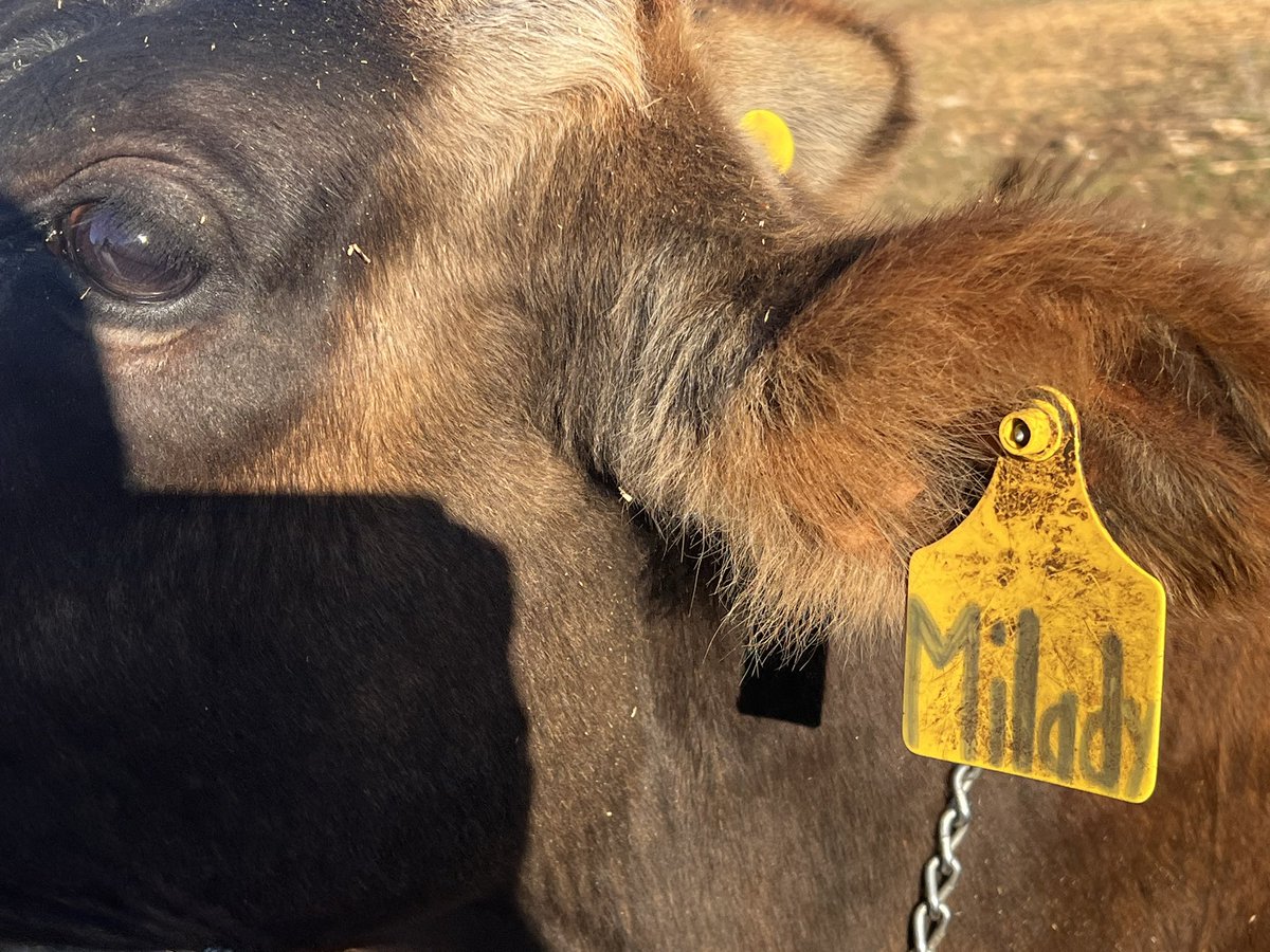 You can’t make this shit up