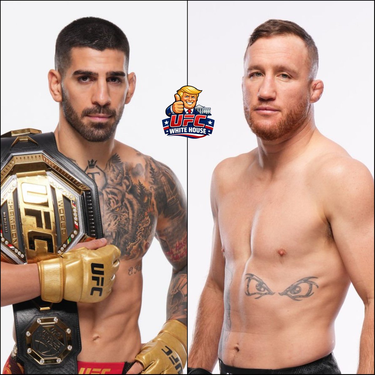 Marcel Dorff 🇳🇱🇮🇩 tweet media