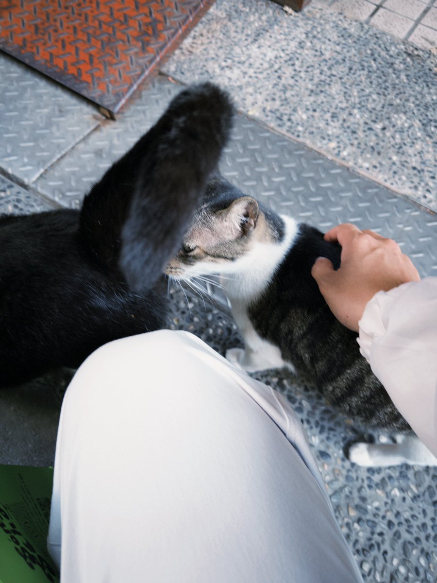 花花❁ tweet media