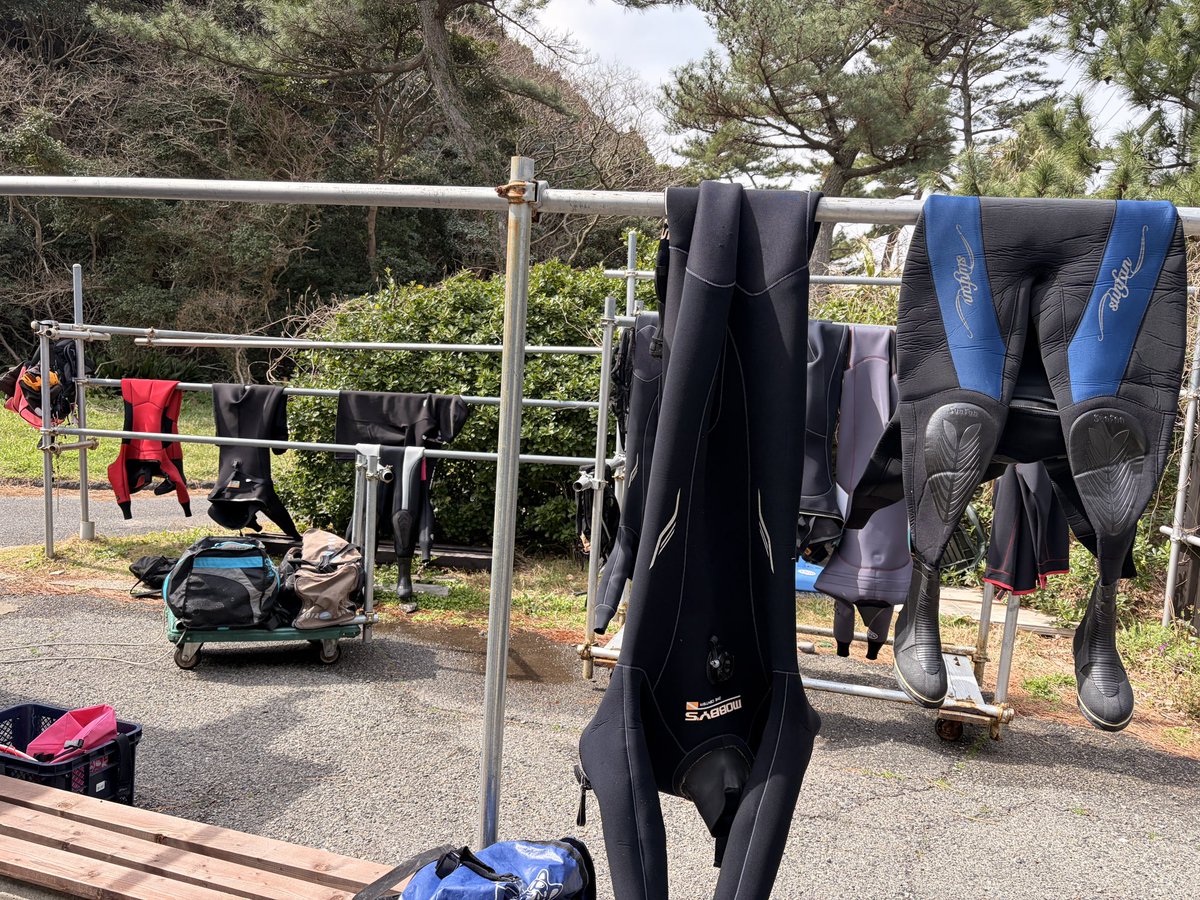 碧波𓇼⋆゜ tweet media