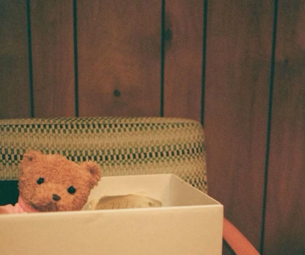 selin ❦ tweet media