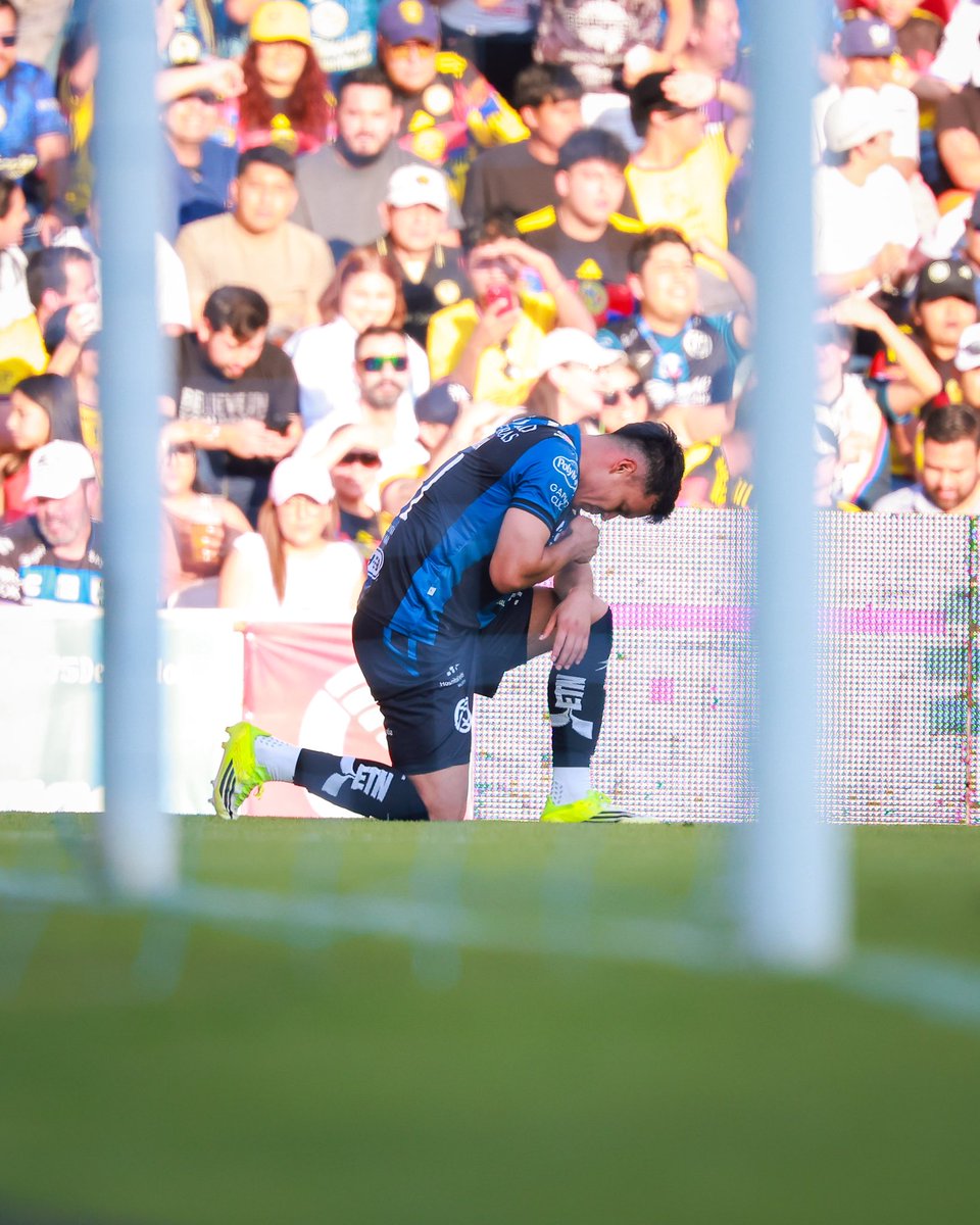 La Previa Del Gallo tweet media